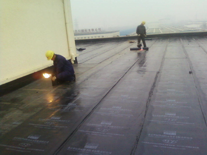 1537540272797723.jpg 1-1P919150S12O.jpg